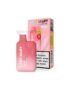 LostMary BM600 Vape Cherry ICE Einweg Vape kaufen