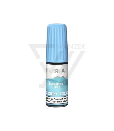 Flerbar Blueberry Mint Liquid - 10mg kaufen