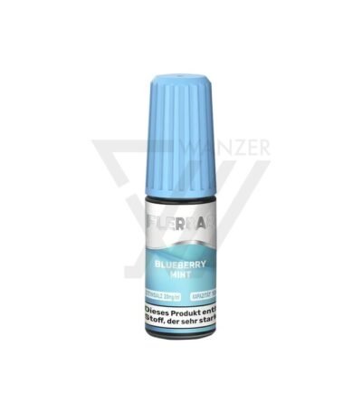 Flerbar Blueberry Mint Liquid - 20mg kaufen